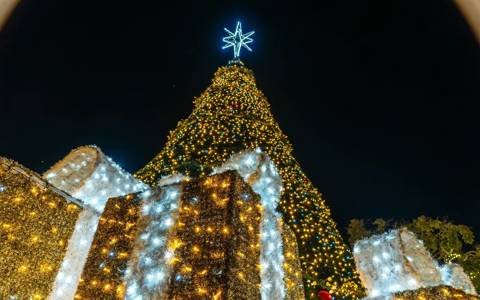 New Year's Eve celebration photographed by Picture Perfect Video